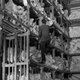 Image for article titled An offhand moment of Bicycle Thieves underlines the plurality of its title